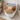 Cedo 163770 toiletzitting in badkamer - tweede sfeerbeeld