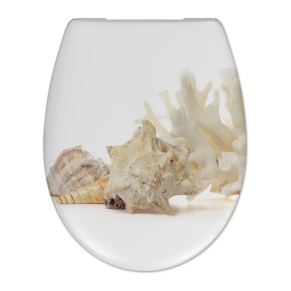 Cedo Shell toiletzitting