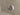 Wiesbaden Rolso verleng inloopdouche 1000 x 2000 mm chroom - detailfoto