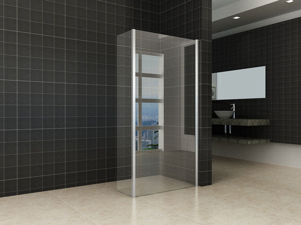 Eco-Combi Nano Douche à l'italienne + paroi latérale 1000x300 8mm