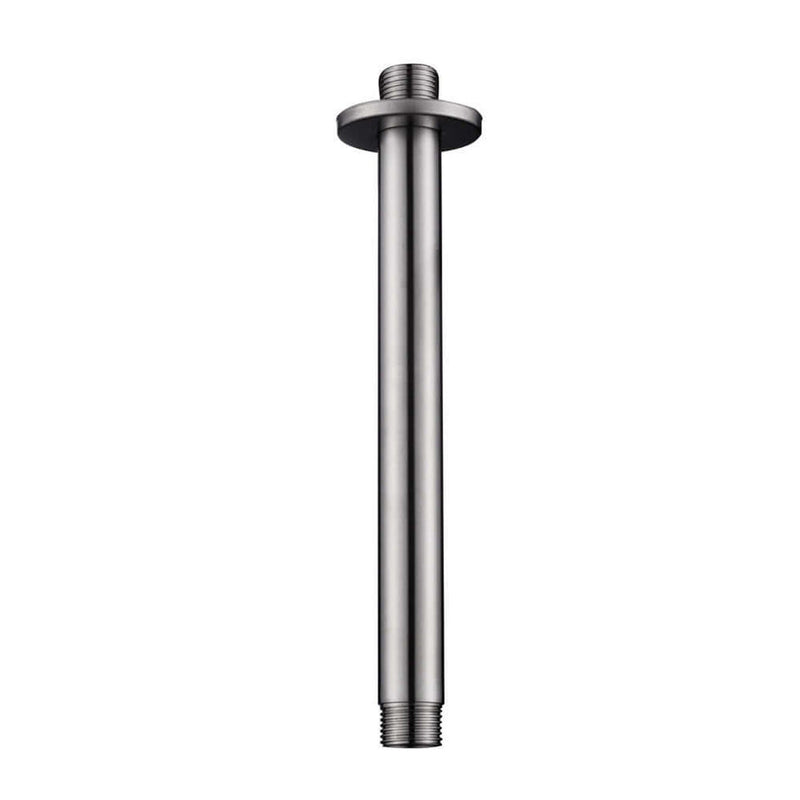 304 douchearm met plafondbevestiging rond 20 cm geborsteld RVS