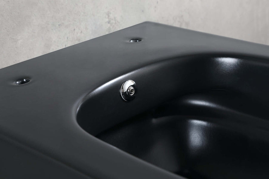 Detail of matte black Bidesta wandtoilet Wiesbaden highlighting bidet function with cold water option.