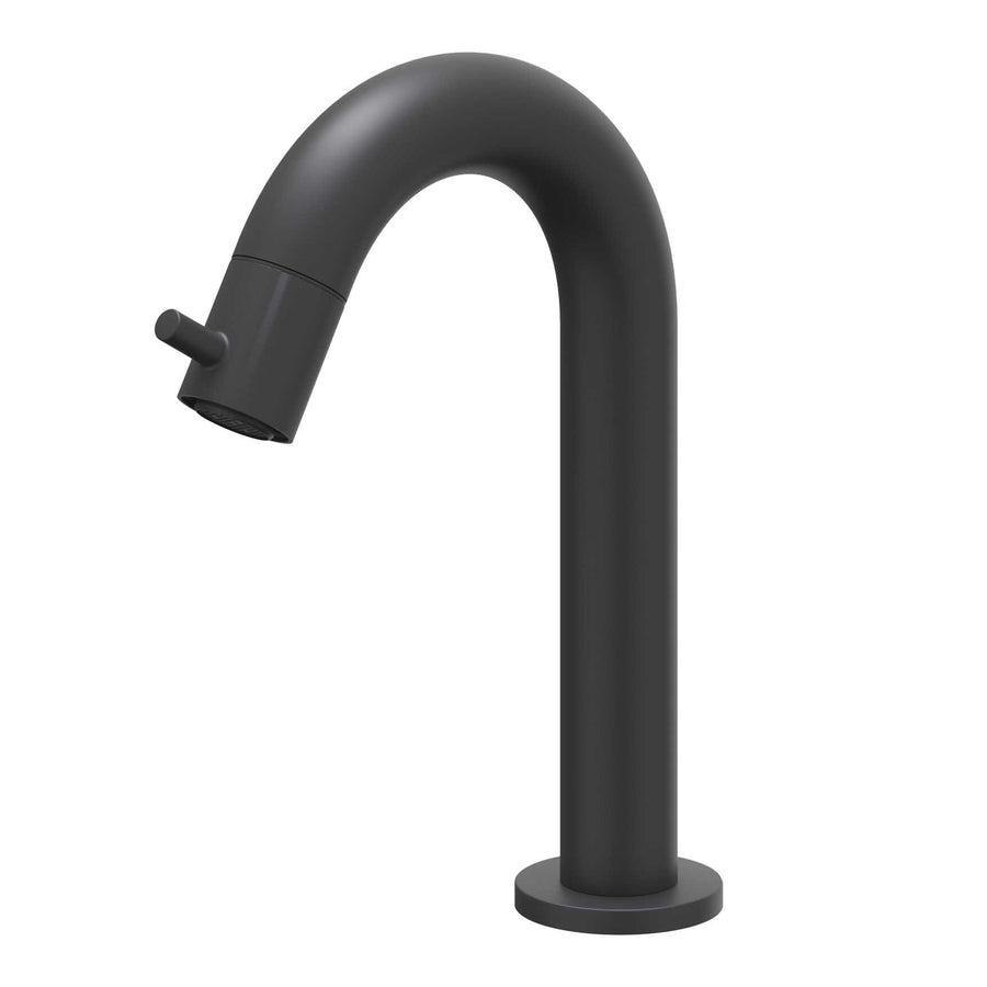 IVY Fonteinkraan gebogen staand model S, Mat zwart PED - productfoto - SKU 6401052