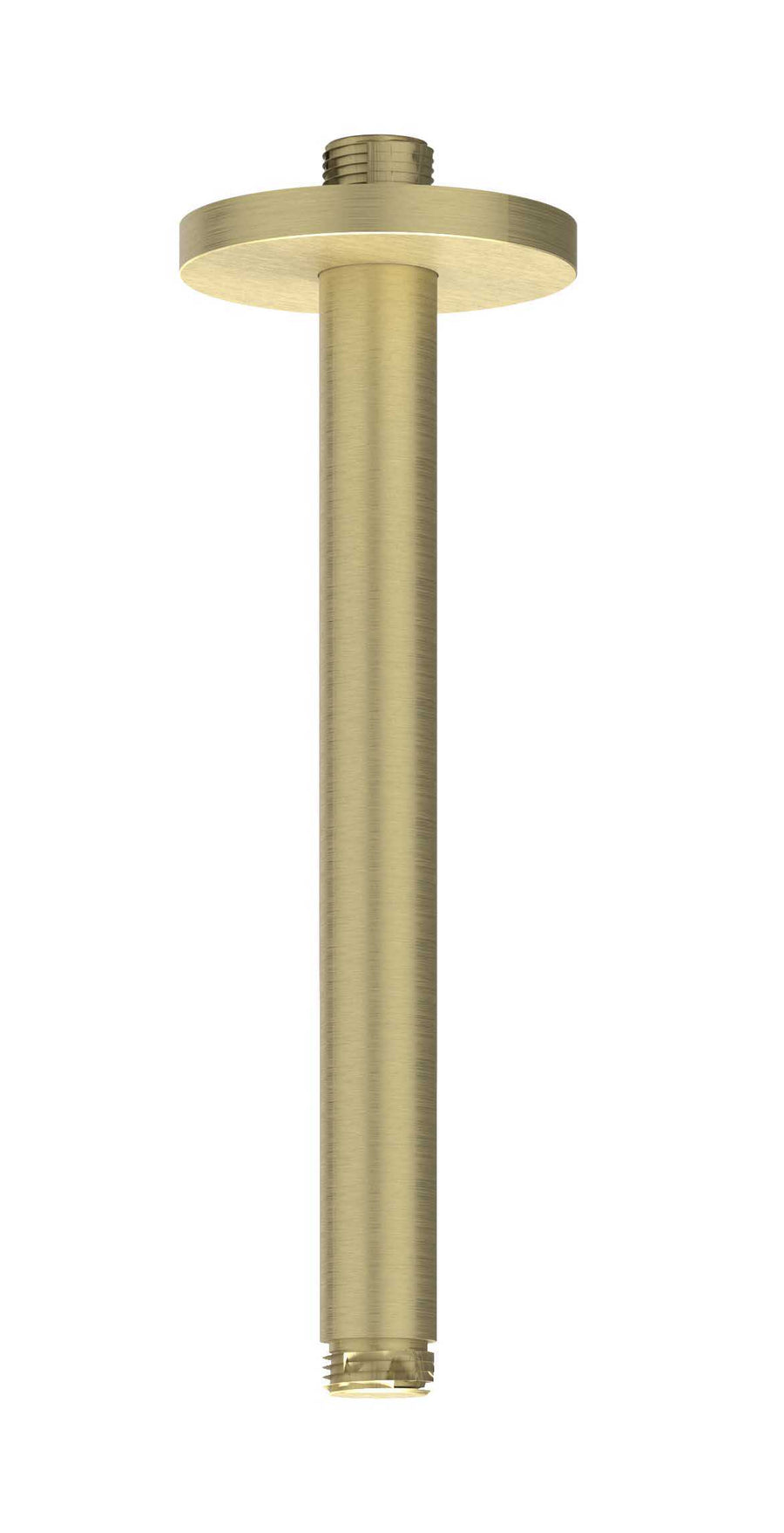 IVY Plafondbuis 20cm 1/2" – RVS316 gebr. mat goud PVD