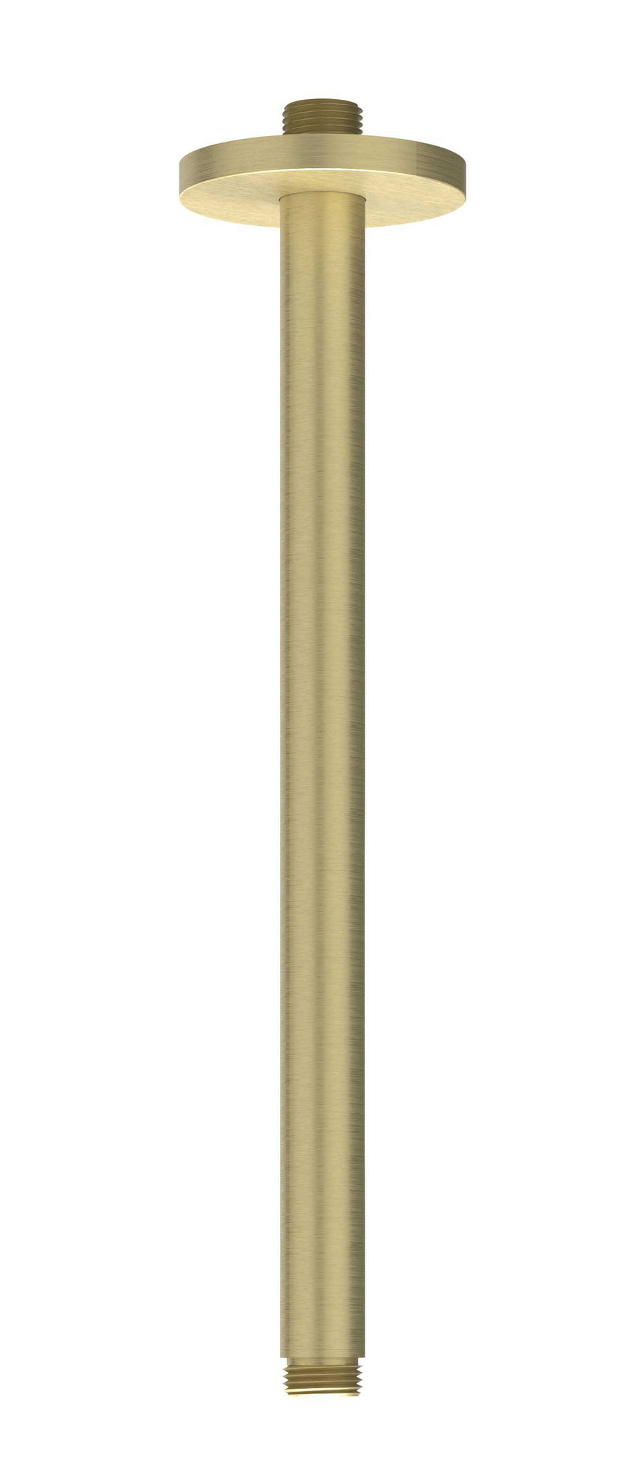 IVY Plafondbuis 30cm 1/2" – RVS316 gebr. mat goud PVD