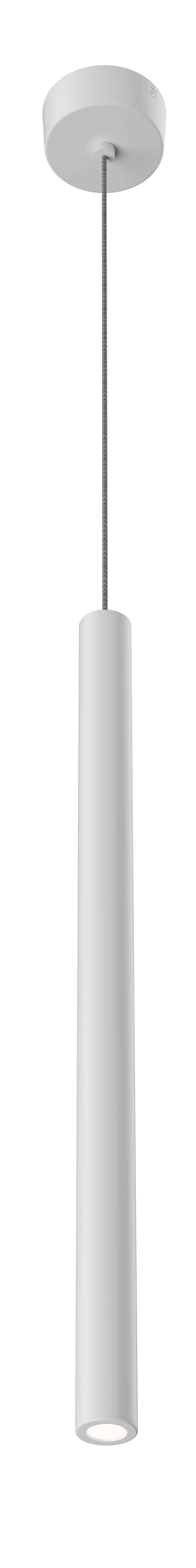 8302026-1.jpg