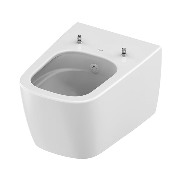 Teceneo Hangtoilet met Bidet - met Bidetkraan - KOUD Water - 54 CM