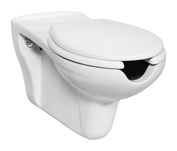 Wand-WC für Behinderte