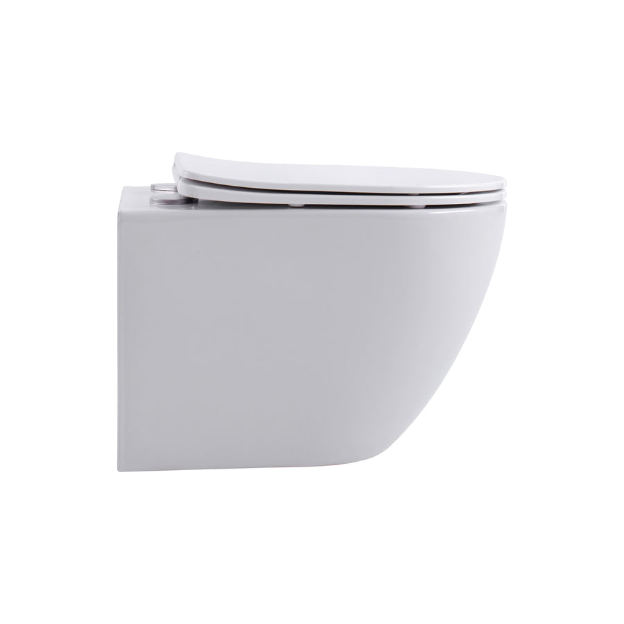 Technische tekening Aloni Pro PRO1925 hangtoilet 49 cm