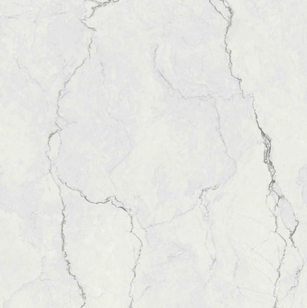 STR1154 / FLP0013293