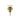 Aloni Uniforma afvoerplug click waste geborsteld goud productfoto