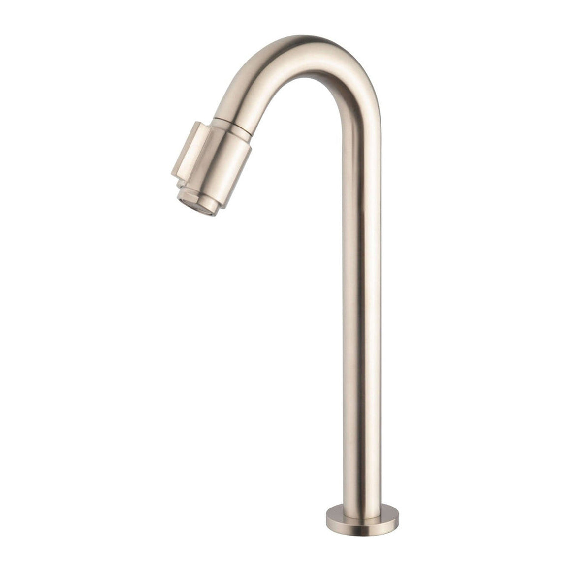 Caral Victoria fonteinkraan XL 1/2'' geborsteld staal PVD