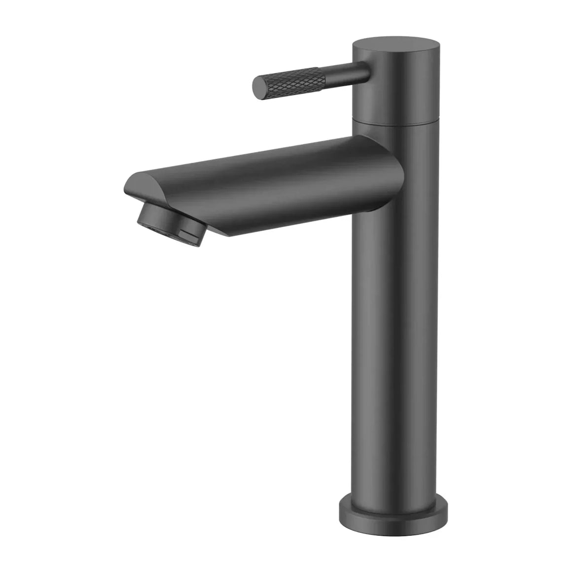 DutchLine S-Grip Fonteinkraan Koud – Gunmetal