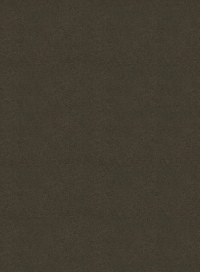 DutchLine SPC Wandpaneel - Cemento Bruin Mat