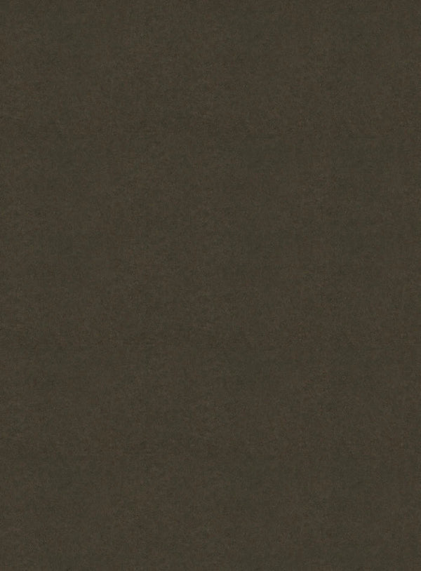 DutchLine SPC Wandpaneel - Cemento Bruin