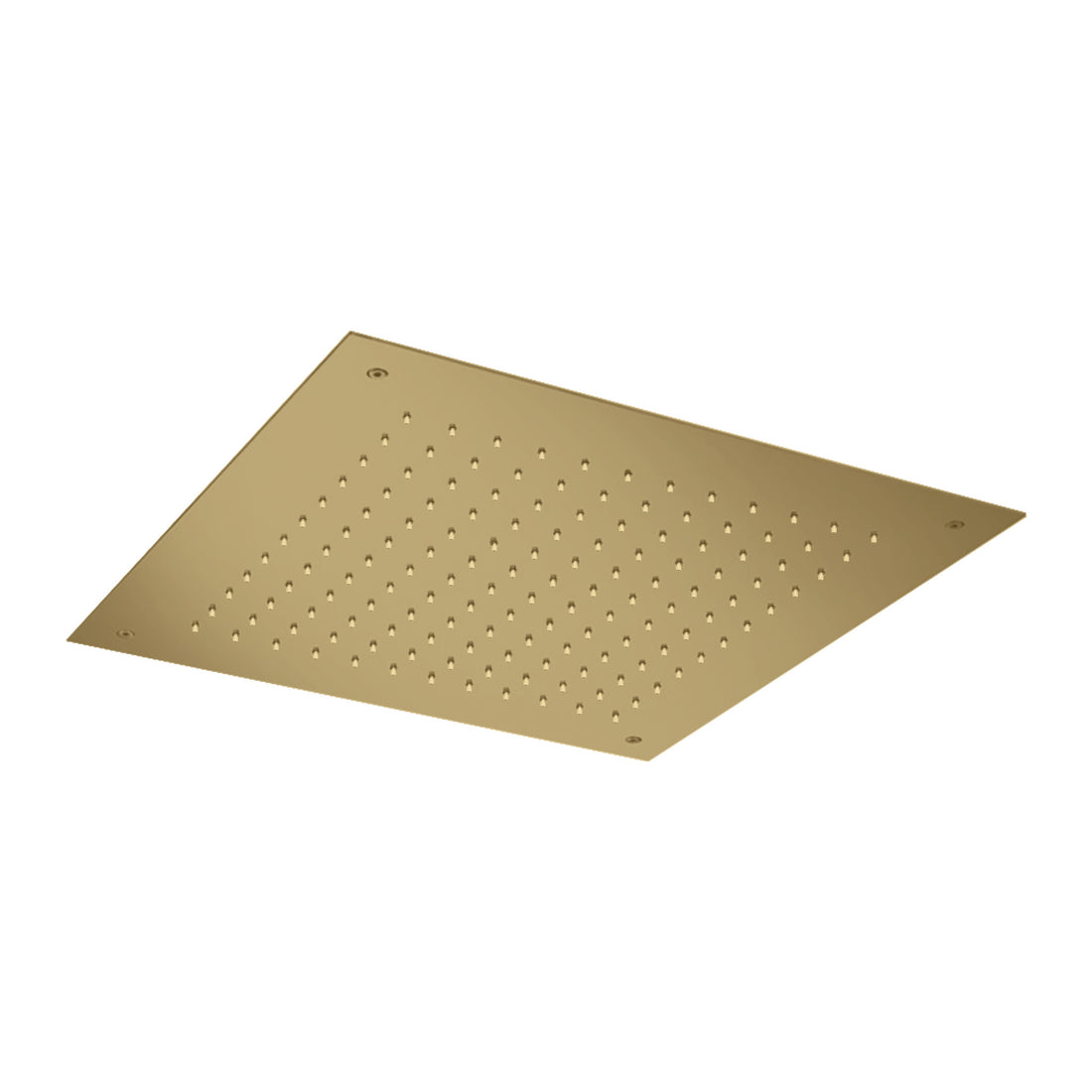 Hotbath Mate M010 doucheslang Argenta 100 cm Geborsteld messing productfoto (kleurimpressie)