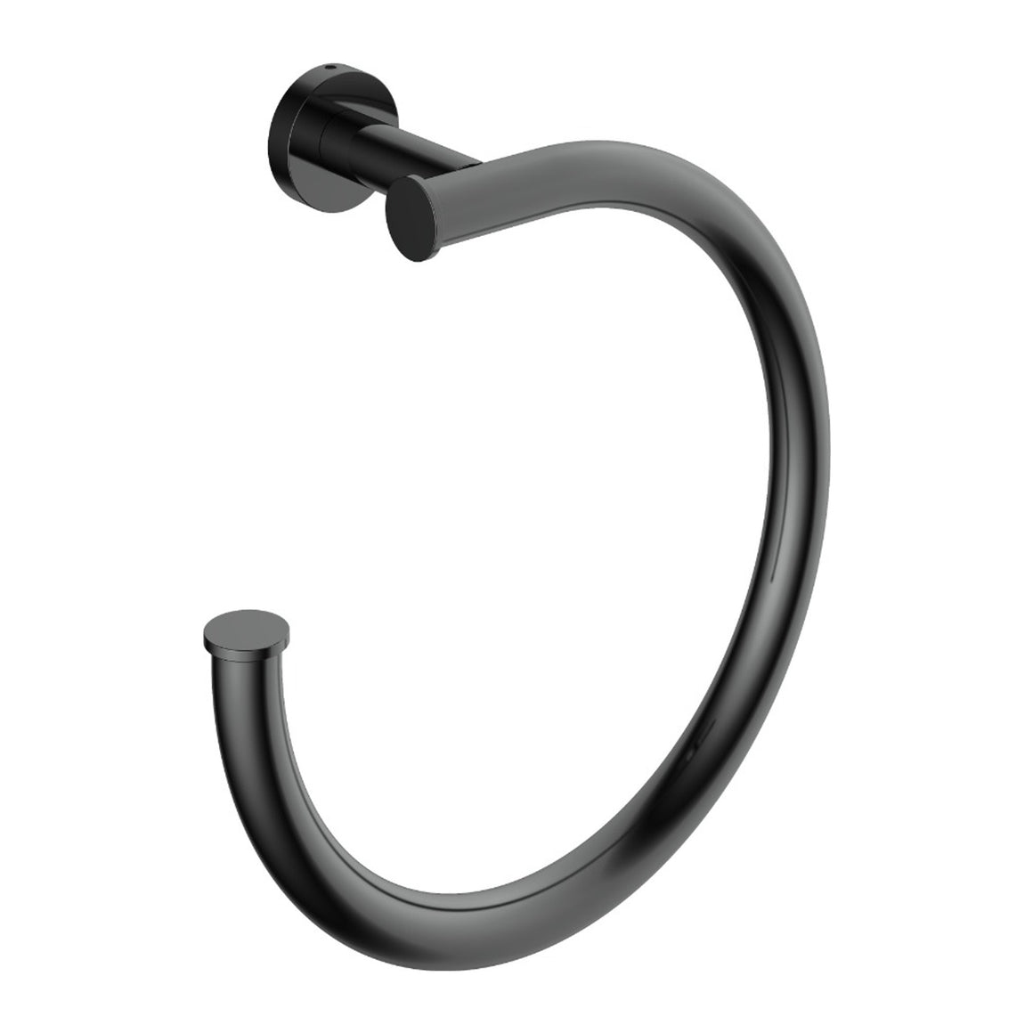 Hotbath &More BAA08 handdoekring Living Colours Gepolijst zwart PVD productfoto